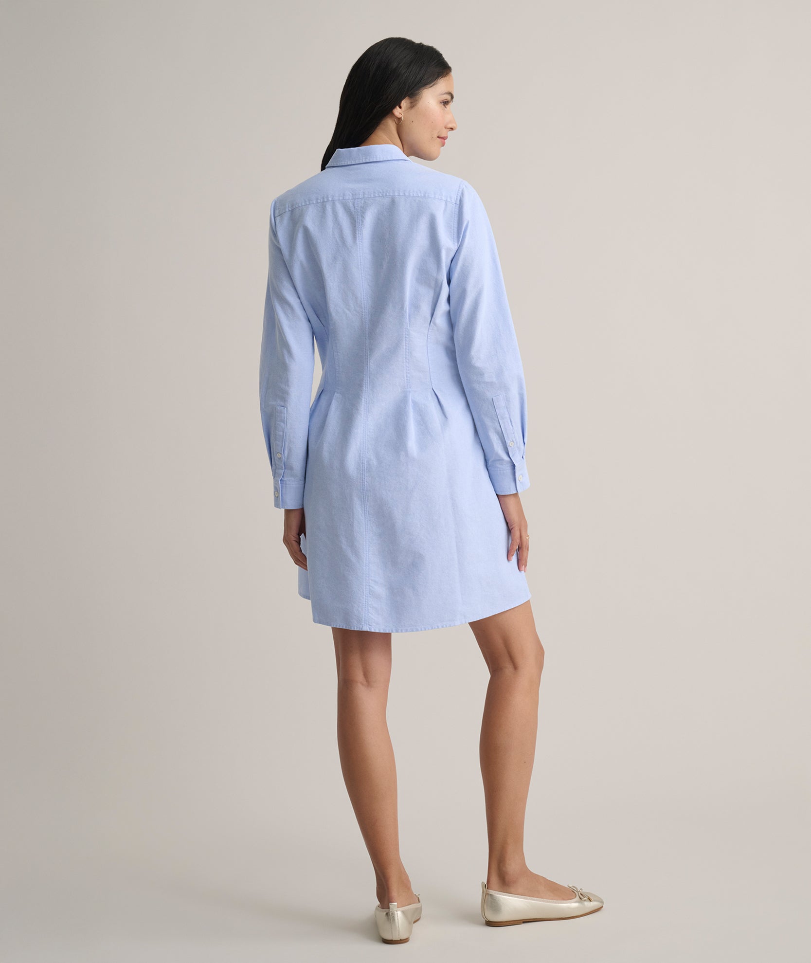 Cotton Oxford Jules Shirt Dress - FINAL SALE